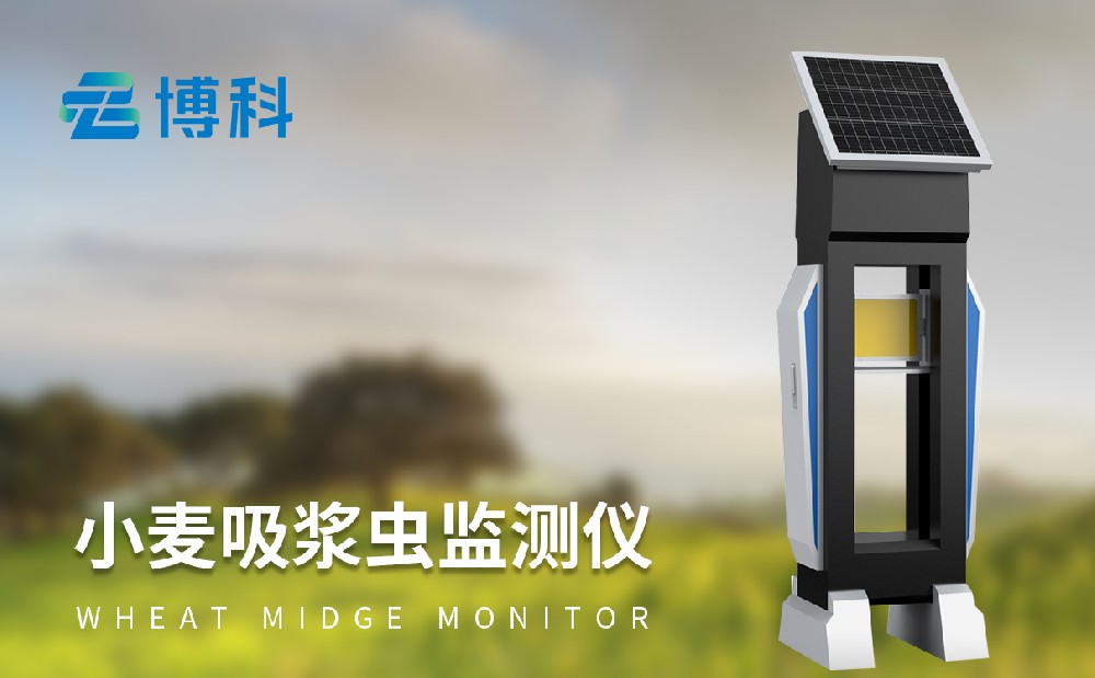 小麥吸漿蟲防治方法,吸漿蟲測報儀