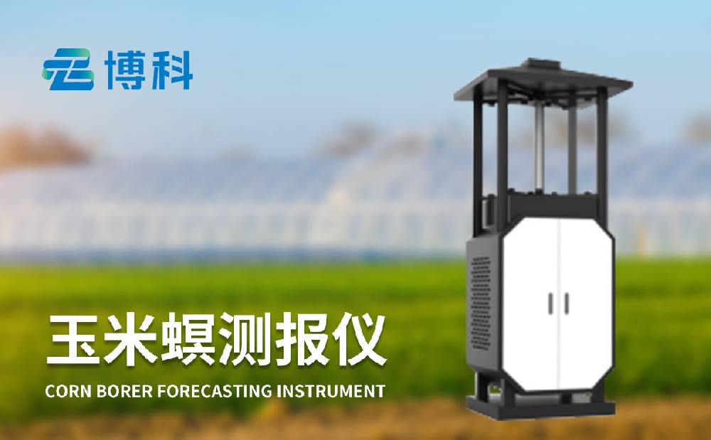 玉米螟測報儀保障玉米產(chǎn)量穩(wěn)定