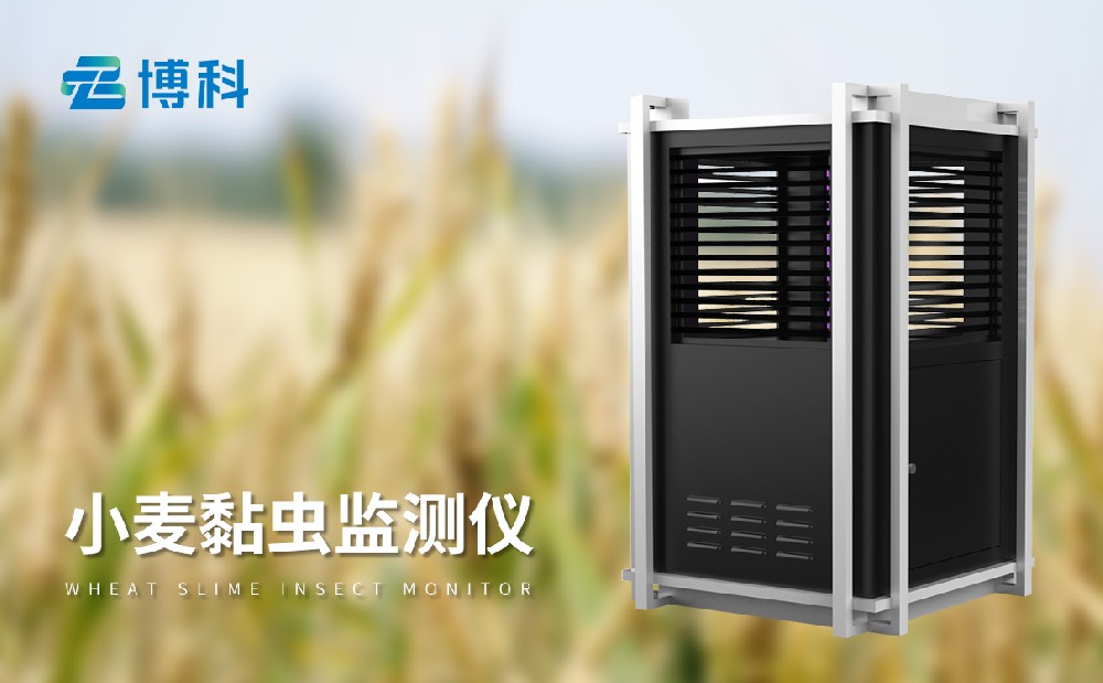 小麥黏蟲監測儀
